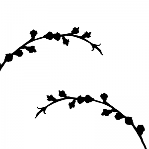 Blossom Branch - Treatment Kit