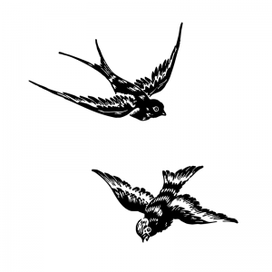 Birds - Scatter Kit