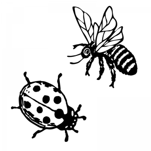 Bugs - Scatter Kit