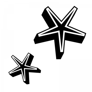 Drop Shadow Star - Scatter Kit