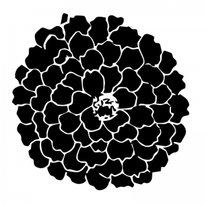 Exotic Flower - Scatter Kit
