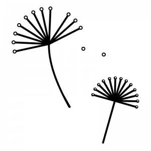 Floating Seeds - Scatter Kit