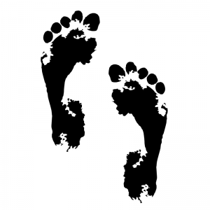 Footprints - Scatter Kit