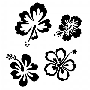 Hibiscus Flower - Scatter Kit