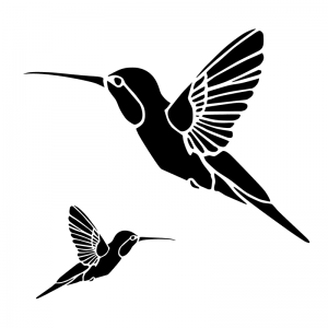 Humming Birds - Scatter Kit
