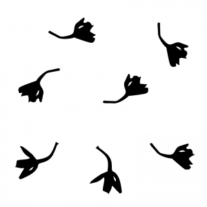 Jasmine - Scatter Kit