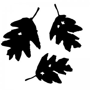 Leaf - Scatter Kit