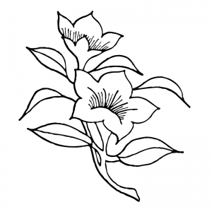 Lily & Leaf - Scatter Kit