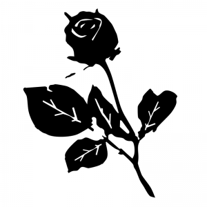 Single Rose - Scatter Kit