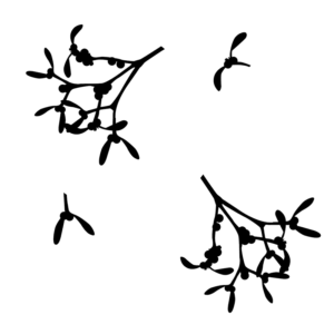 Mistletoe Scatter Kit for Christmas shop window