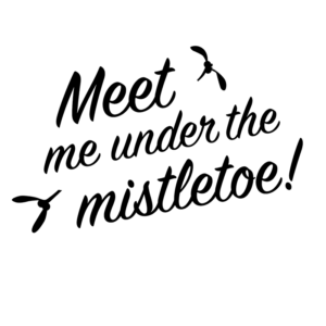 Meet me under the mistletoe shop window graphic for Christmas shop window display